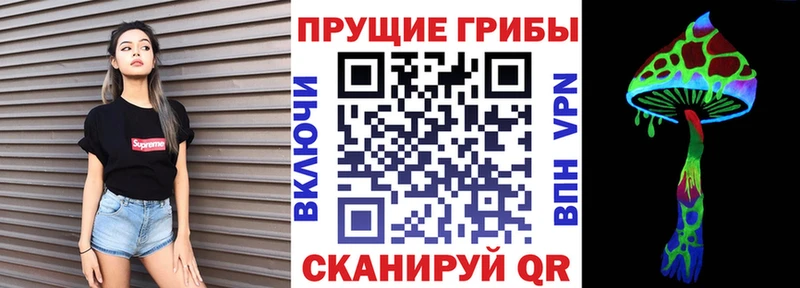 Галлюциногенные грибы Psilocybine cubensis  Шелехов 